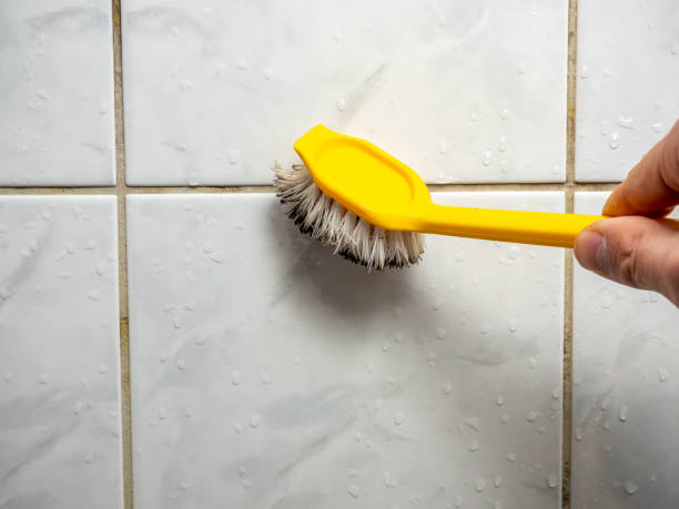 Best Kitchen Mold Remediation in Franklin, GA