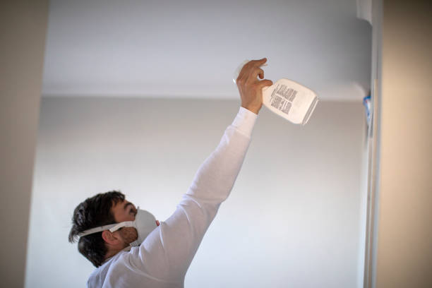 Reliable Franklin, GA Mold Remediation Solutions