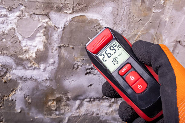 Best Post-Flood Mold Remediation in Franklin, GA