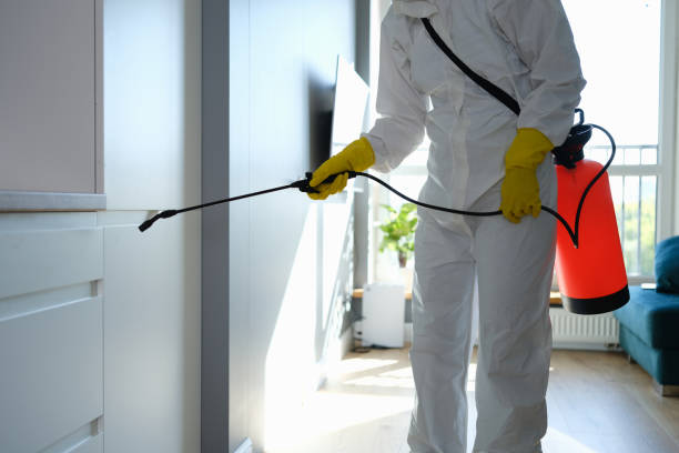 Best Mold Testing and Inspection Services in Franklin, GA