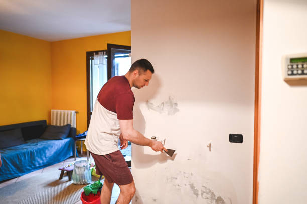 Best Residential Mold Remediation in Franklin, GA
