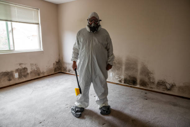Best Commercial Mold Remediation in Franklin, GA